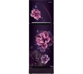SAMSUNG 253 L Frost Free Double Door 2 Star Refrigerator with Base Drawer Camellia Purple, RT28B3122CR/HL image