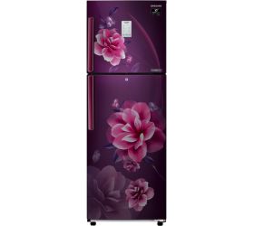 Samsung 253 L Frost Free Double Door 3 Star 2020 Convertible Refrigerator Camellia Purple, RT28T3953CR/HL image