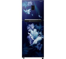 SAMSUNG 291 L Frost Free Double Door 2 Star Refrigerator Midnight Blossom Blue, RT34C4622UZ/HL image
