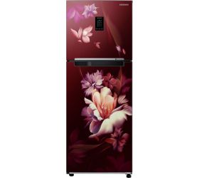 SAMSUNG 291 L Frost Free Double Door 2 Star Refrigerator Midnight Blossom Red, RT34C4622RZ/HL image